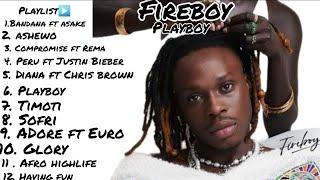 Fireboy DML Playboy Full Album ft Chris brown Asake Shensea Rema Ed Sheeran Mix by Musicbwoy