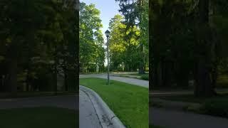 VID 20190608 WA0010