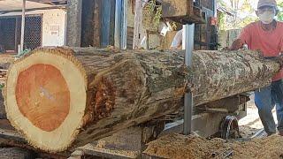 Watch how the old man saws teak wood into 7x14cm blocks