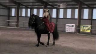 Friesian Stallion FPS FHANA  Frederik the Great  Grand Event Performace