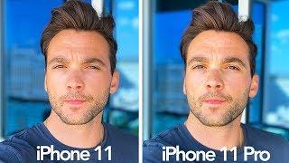 iPhone 11 vs iPhone 11 Pro Real World Camera Comparison Are They The Same?