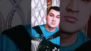 @KorniOfficial  и берёза #баян #cover #accordion