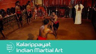 Kalarippayat  Indian Martial Art  Trans World Sport