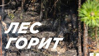 Горит лес под Верхней Пышмой. Пожарные применяют тяжелую технику