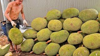 Amazing fruit cutting skills collection of thailand