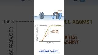 Clinical Cuts Pharmacodynamics - Agonist partial agonist antagonist