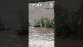 Dozens rescued from hospital roof after Hurricane Helene flooding