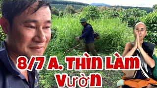 Sáng ngày 7 tháng 8 Theo chân anh thìn em trai út của Sư Minh Tuệ ra vườn sầu riêng cắt cỏ