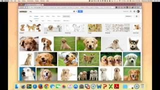 Searching for copyright friendly images with Google Search