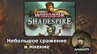 Небольшое сражение и мнение по игре Warhammer Shadespire.