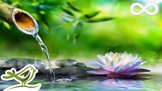 Soothing Relaxation Relaxing Piano Music & Water Sounds for Sleep Meditation Spa & Yoga