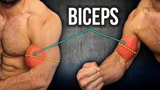 5min Home BICEPS Workout For MASS And WIDTH DUMBBELL BICEPS WORKOUT