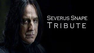 Severus Snape  Tribute