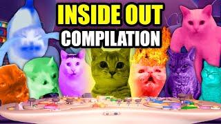 CAT MEMES CATs IN INSIDE OUT COMPILATION