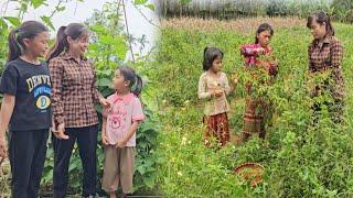 FULL VIDEO The Journey of Harvest Vegetables and Happy Times together of Vang Ly and her Two Girls