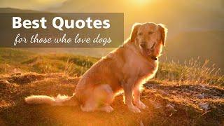 60 Best Quotes About Dogs  Animal Lovers  Dog Lovers  Love For Dogs  Best Dog Quotes  Cute Dogs