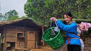 60 Days17 Year Old Single Mother Builds a bamboo house - Makes a clay kitchen - Building a new life