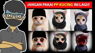 FAKTA SERAM DI BALIK PP KUCING YANG SEDANG VIRAL