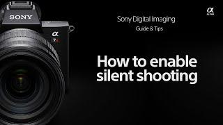 Sony  How Tos  How to enable Silent Shooting for Sony Alpha cameras