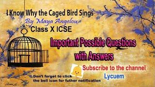 Why the Caged Bird Sings     Question & Answer Discussion