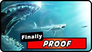 Megalodon Sharks Are Alive New Footage & Scientific Evidence Must Watch  Absolute Nature