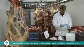 Environmental Swabbing - How to Collect Samples from Meat