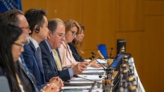 WIPO Member States Adopt New Treaty on IP Genetic Resources and Associated Traditional Knowledge