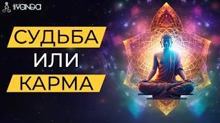 Почему карма не возникает сама по себе? Как наши действия определяют то что нас ждёт в будущем?