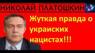 Николай Платошкин - Жуткая правда о Украинских нацистах