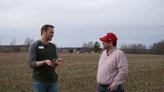 Bumper Crops Managing Overwintering Cover Crops in a Dry Spring