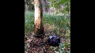 Field Recording I Bioacoustics  I LOM Geofon I Hidden Secrets in the soil