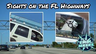 Sights on Florida Highways