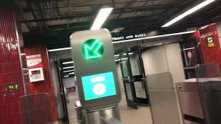 TTC Eglinton Station Tour