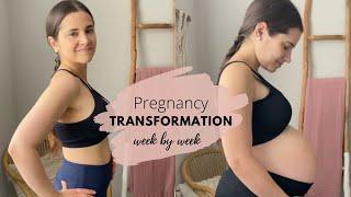 pregnant belly week by week transformation