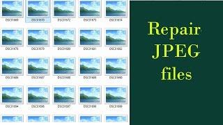 Repair CORRUPTBROKEN Image Files Easy Steps to Restore Corrupt Photos  Tech Tonic