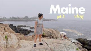 Exploring MAINE day 1-2   road trip from NYC our dog-friendly Airbnb and eating local seafood