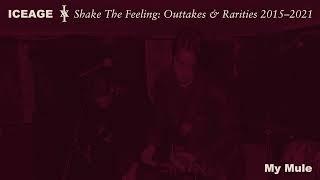 Iceage - Shake The Feeling Outtakes & Rarities 2015-2021 Full Album