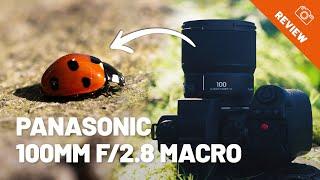Panasonic 100mm f2.8 Makro im Test – Mache Kleines zu Großem
