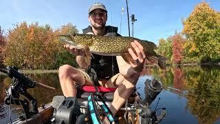 Nice Pike Catch - Kayak Fishing Maine