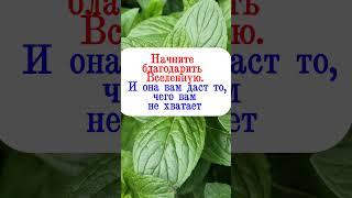 Начните благодарить Вселенную за то что у вас есть. И она вам даст то чего вам не хватает