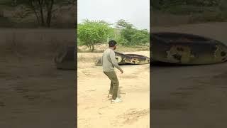 Big Anaconda Chasing Part 2 #shorts #snake #anaconda #nagin #anacondasnake