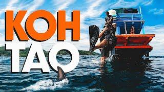 DISASTER STRIKES ON KOH TAO  Scuba Diving Fail