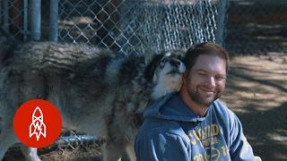 Living with Wolves Saved My Life