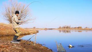 РЫБАЛКА НА КАРАСЯ. Проснулся родимый Весна полным ходом ловля на донки.