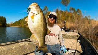 Swimbait Fishing Is EASY Spring Bass Fishing For BIG Bass