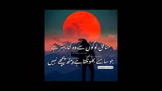 Aqwal e zareen newAqwal e zareen in UrduUrdu quotesUrdu Islamic quotesbest Urdu Quotes Mix