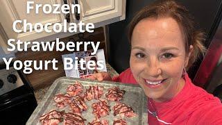 Frozen Chocolate Strawberry Yogurt Bites  East snack for kids in the summer  Healthy fruit treats