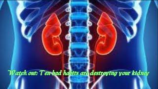 Watch out Ten bad habits are destroying your kidney