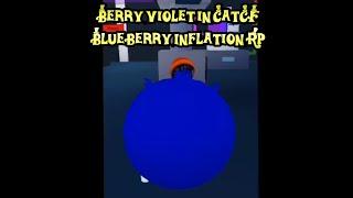 Roblox - Berry Violet in CatCF Blueberry Inflation RP