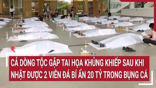 Cả dòng tộc gặp tai họa khủng khiếp sau khi nhặt được 2 viên đá bí ẩn 20 tỷ trong bụng cá